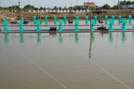 EVN SPC triển khai hiệu quả chương trình tiết kiệm điện 