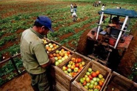 Mở cửa lĩnh vực tư nhân, Cuba có hơn 400 hợp tác xã tư nhân