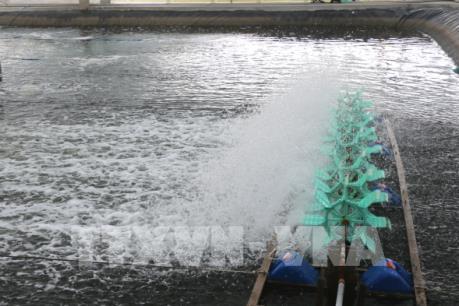 Giải pháp tiết kiệm điện cho người nuôi tôm tại Sóc Trăng