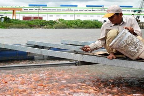 Xử phạt 876 triệu đồng vì xả thải ra sông Hậu