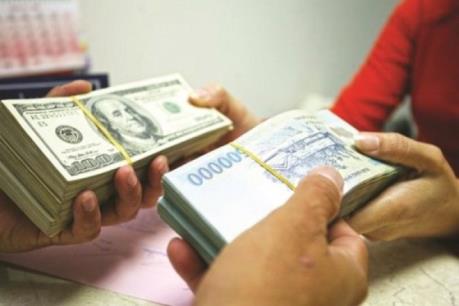 Tỷ giá USD hôm nay 11/8