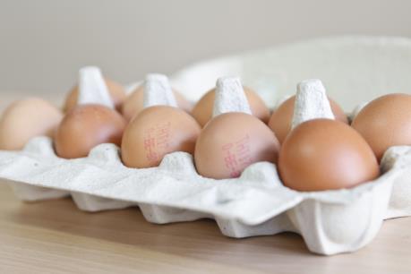 Bê bối trứng "bẩn" ảnh hưởng mạnh tới 15 nước EU