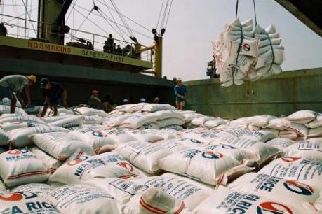 Vẫn còn dư địa cho hạt gạo Việt Nam vào Singapore