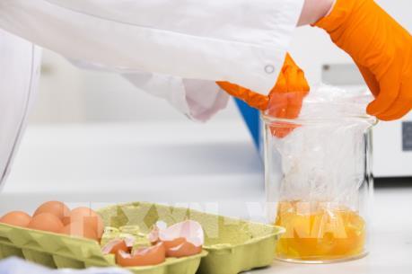 Bê bối trứng gà "bẩn": Tìm cách giải quyết hơn là buộc tội nhau