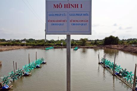 Tiết kiệm điện trong nuôi tôm tại ĐBSCL - Bài 4: Nhìn từ việc triển khai tại Sóc Trăng