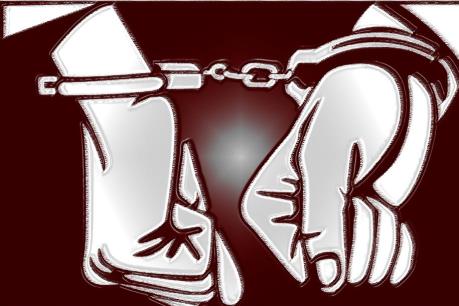 Thiết kế khoang đặc biệt trong xe tải vận chuyển trái phép 150 bánh heroin