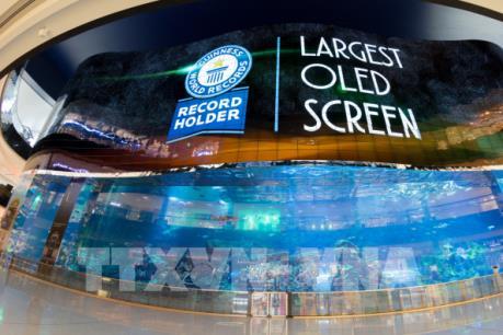 Bảng hiệu OLED lớn nhất thế giới của LG