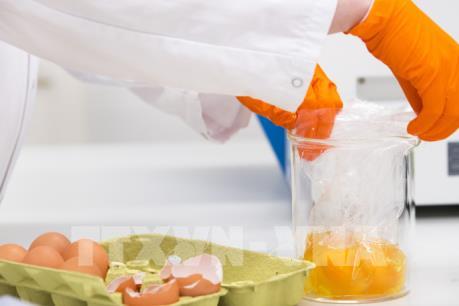 Thêm một quốc gia châu Âu phát hiện “trứng bẩn”