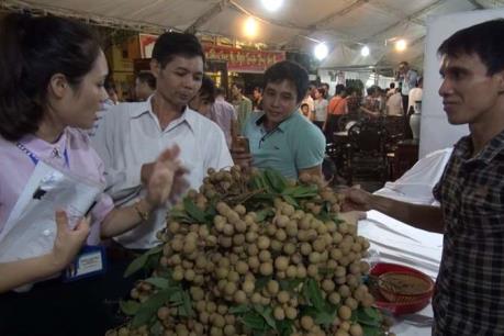 Lễ hội nhãn lồng Hưng Yên gây thất vọng