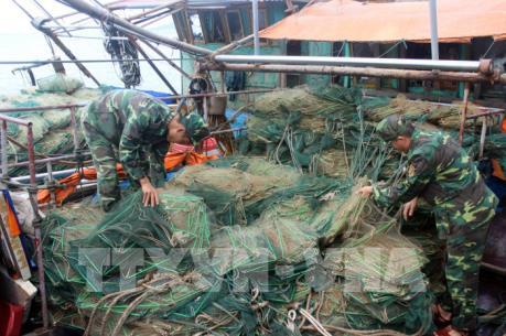 Nguy cơ Quảng Ninh cạn kiệt nguồn lợi thủy sản ven bờ