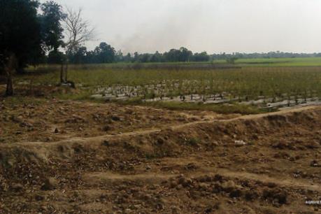 Chuyển mục đích sử dụng đất tại Long An 