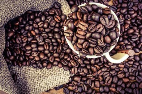 Dự báo giá cà phê tuần từ 14/8 - 19/8