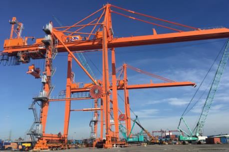 Cảng Hải Phòng đưa 2 cần trục giàn tầm với 14 hàng container vào hoạt động