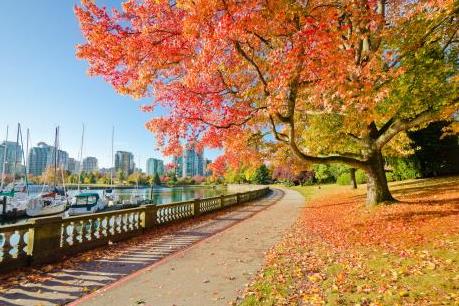 Nhiều tour hấp dẫn với giá "sốc" tại Ngày hội khai thu 2017