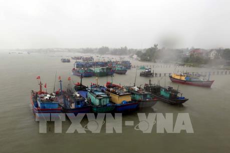 Khánh Hòa sắp xếp chỗ neo đậu cho tàu cá trong mùa mưa bão