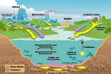 Công ước Minamata về ngăn chặn ô nhiễm thủy ngân có hiệu lực