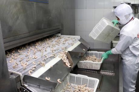 Hoa Kỳ dỡ bỏ một phần thuế chống bán phá giá với tôm Việt Nam