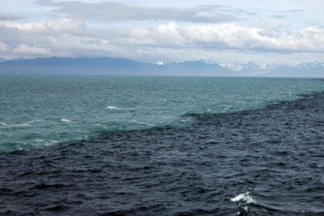 Khoảng 200 lít dầu tràn ra Vịnh Hạ Long