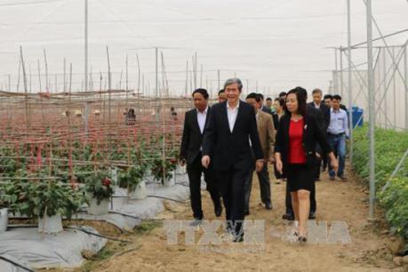 Hải Phòng: Phát triển nông nghiệp ứng dụng công nghệ cao