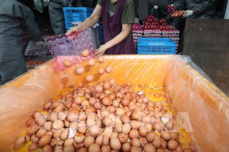 Hàn Quốc sẽ hoàn toàn kiểm soát bê bối trứng "bẩn" vào cuối tuần này