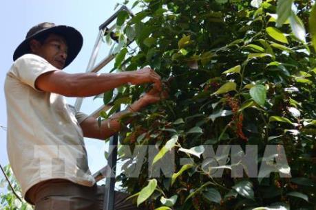 6 tháng, nông nghiệp tăng trưởng khá