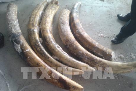 Bộ Công Thương lập đoàn kiểm tra chống buôn lậu và gian lận thương mại