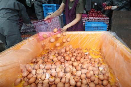 Hàn Quốc phát hiện thêm nhiều trứng "bẩn"