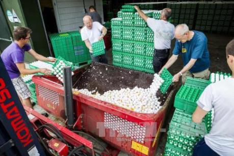 Châu Âu rúng động về vụ bê bối “trứng bẩn”