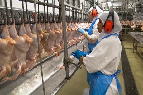 Thịt gà nhập khẩu từ Brazil bị Trung Quốc điều tra chống bán phá giá