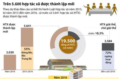 Trên 5.600 hợp tác xã được thành lập mới