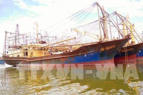 Có tới 9/10 mẫu thép của các tàu cá Bình Định kiểm định thêm không đạt chuẩn