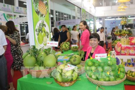 Phát triển thương mại khu vực phía Nam - Bài 1: Hiệu quả từ cơ chế hợp tác liên vùng