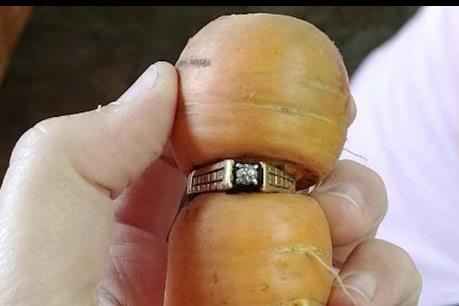 Một phụ nữ Canada tìm thấy nhẫn kim cương mất tích 13 năm trên củ cà rốt