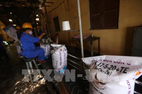 Đề xuất doanh nghiệp sản xuất phân bón phải có vốn điều lệ tối thiểu 10 tỷ đồng