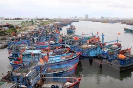 Chủ động ứng phó với bão số 6 và mưa lũ sau bão