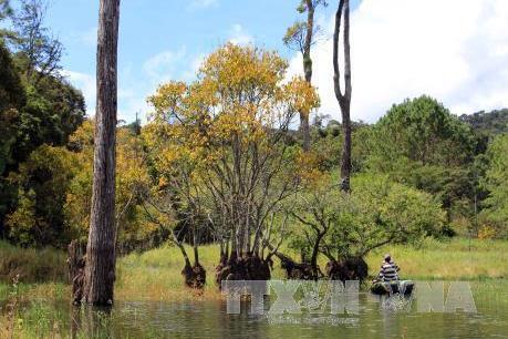 Thanh tra tỉnh Lâm Đồng kết luận có nhiều sai phạm tại Khu Du lịch hồ Tuyền Lâm