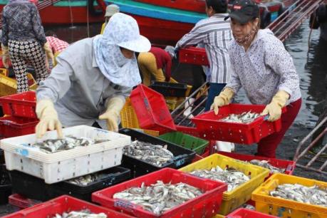 Tấp nập bến cá Nghi Thủy (Nghệ An)