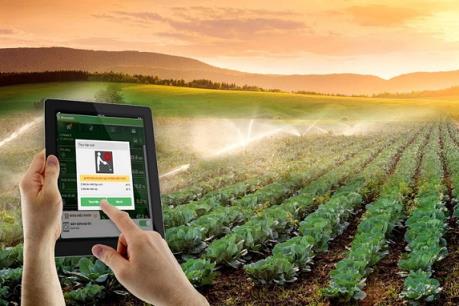 Giải pháp nông nghiệp chính xác MimosaTEK – Đột phá trong công nghệ tưới tiêu