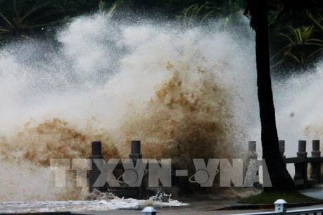 Bão số 8 giật cấp 11 di chuyển chậm theo hướng Tây Bắc