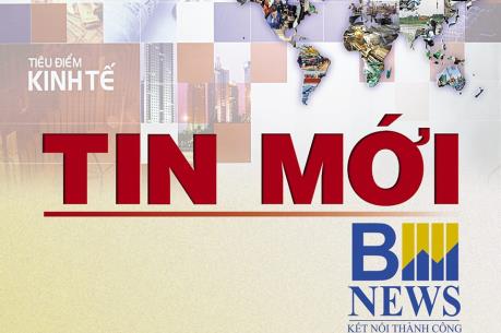 Nuôi tôm siêu thâm canh: Hướng đi triển vọng của ngành tôm Cà Mau