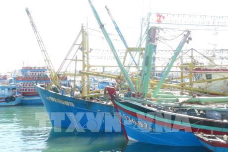 Bình Thuận sẽ thu hồi giấy phép với tàu cá, ngư dân bị nước ngoài bắt giữ thả về
