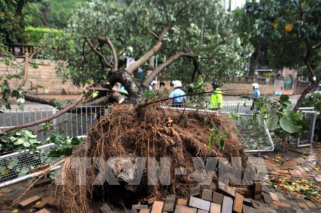Bão Hato quét qua tỉnh miền Tây Nam Trung quốc: 3 người thiệt mạng và 13 người mất tích