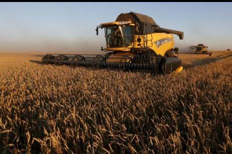 Sản lượng ngũ cốc của Nga có thể vượt 131 triệu tấn trong năm 2020