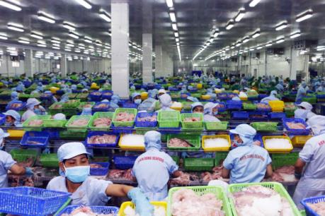 Xuất khẩu hàng hóa của Cần Thơ có xu hướng tăng mạnh