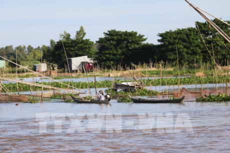 Đón lũ sớm mang theo phù sa, tôm cá