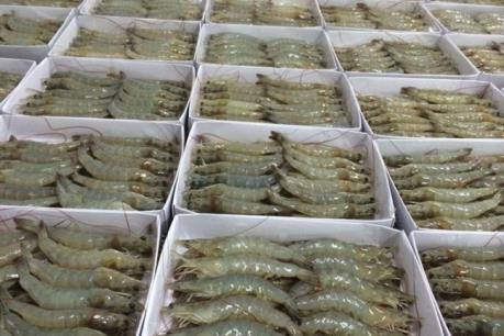 Tôm Việt Nam sẽ tiêu thụ mạnh tại thị trường châu Á