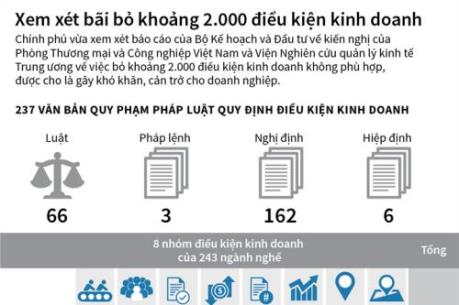 Chính phủ xem xét bãi bỏ khoảng 2.000 điều kiện kinh doanh