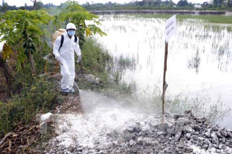 Hải Phòng tiêu hủy 3.000 gia cầm nhiễm cúm A/H5N6