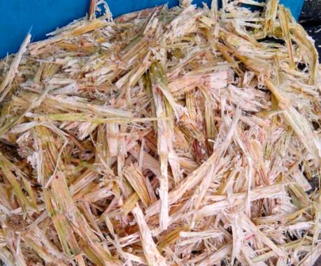 Sóc Trăng quy hoạch phát triển điện sinh khối 