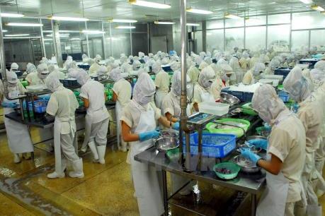 Xuất khẩu thuỷ sản sang Trung Quốc: "Gần" nhưng không "dễ"